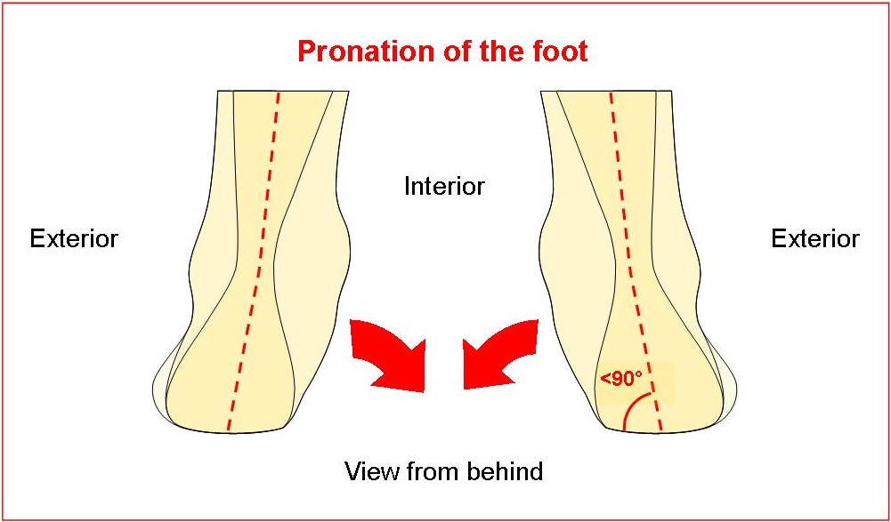 Pronation of the foot