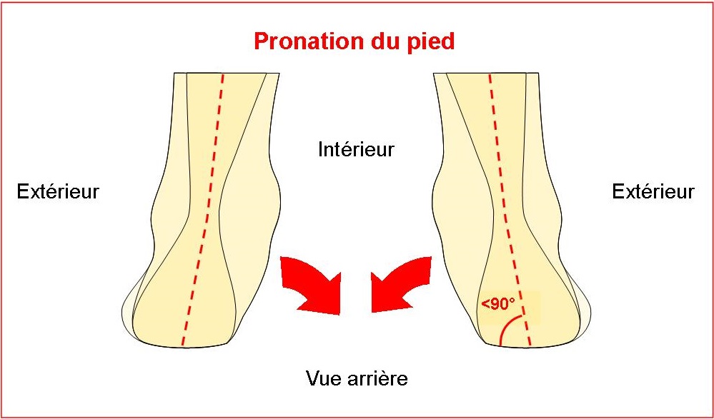 Schéma pronation pied