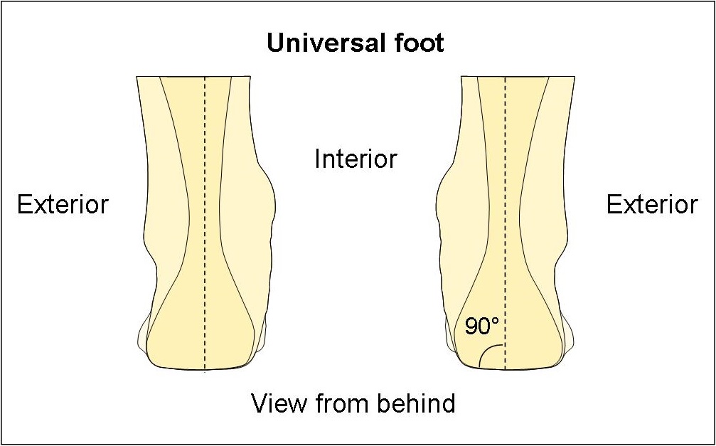 Universal foot