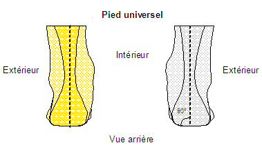 Pied universel